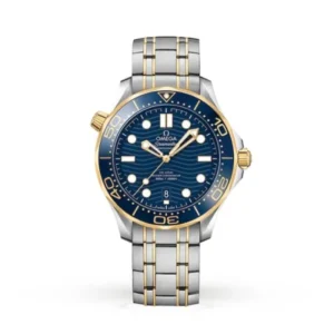 Omega Seamaster Men Automatic Blue Stainless Steel Watch O21020422003001
