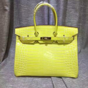Hermes Birkin 35cm Crocodile head Veins Handbags yellow golden