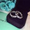 Tiffany & Co. Schlumberger Sixteen Stone Ring Diamonds Latest Design Fashion Jewelry GRP00124/GRP02194/GRP02193 - Image 7