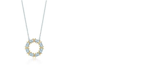 Tiffany Schlumberger Sixteen Stone Circle Pendant Chain Necklace Fine Jewelry