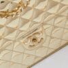Chanel Backpack & Star Coin Purse AS4649 Golden - Image 10