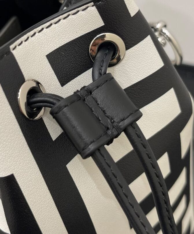 Fendi Mon Tresor Two-tone Printed Leather Fendi Roma Capsule Mini-bag 8BS010 Black - Image 3