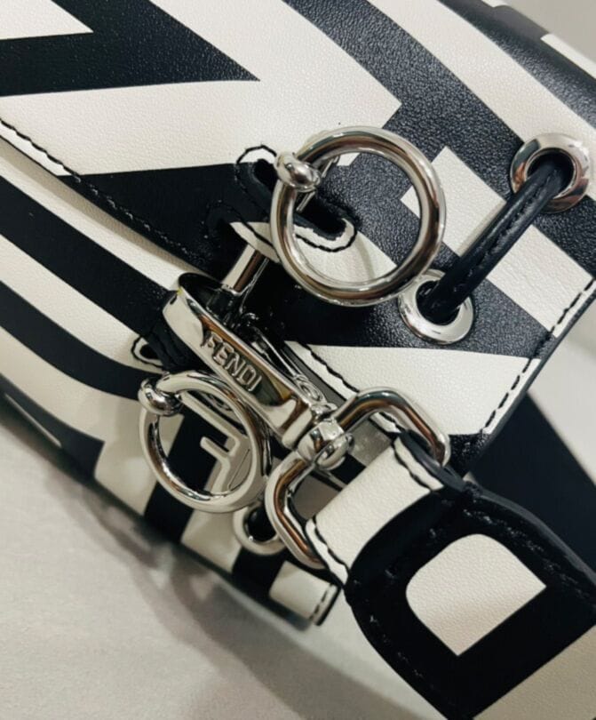 Fendi Mon Tresor Two-tone Printed Leather Fendi Roma Capsule Mini-bag 8BS010 Black - Image 9