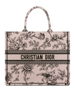 Dior Large Dior Book Tote Apricot