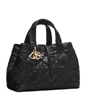 Dior Medium Dior Toujours Bag