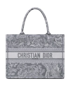 Dior Small Dior Book Tote