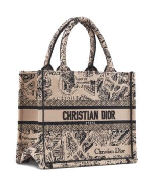 Dior Small Dior Book Tote Apricot