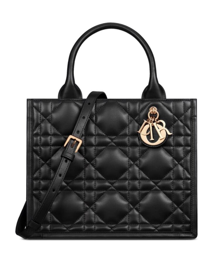 Dior Small Dior Book Tote Black