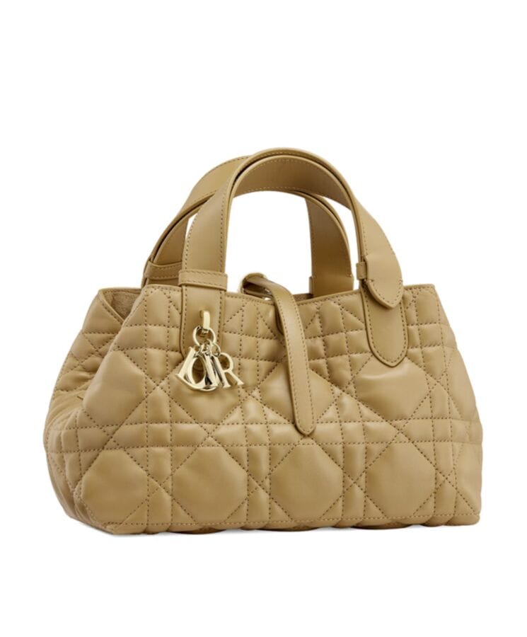 Dior Small Dior Toujours Bag