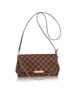 Louis Vuitton Favorite MM N41129 Brown