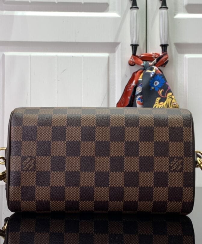 Louis Vuitton Speedy Bandouliere 20 N40489 Brown - Image 5