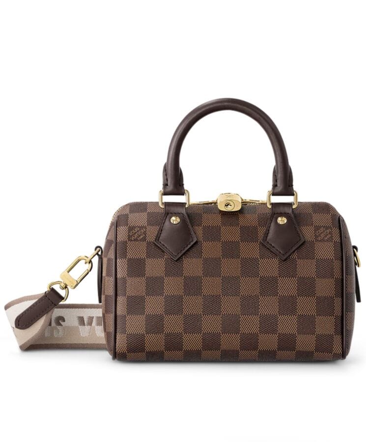 Louis Vuitton Speedy Bandouliere 20 N40489 Brown