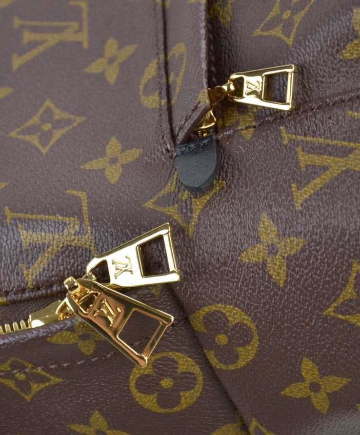 Louis vuitton Palm Springs Backpack MM M41561 Black - Image 5