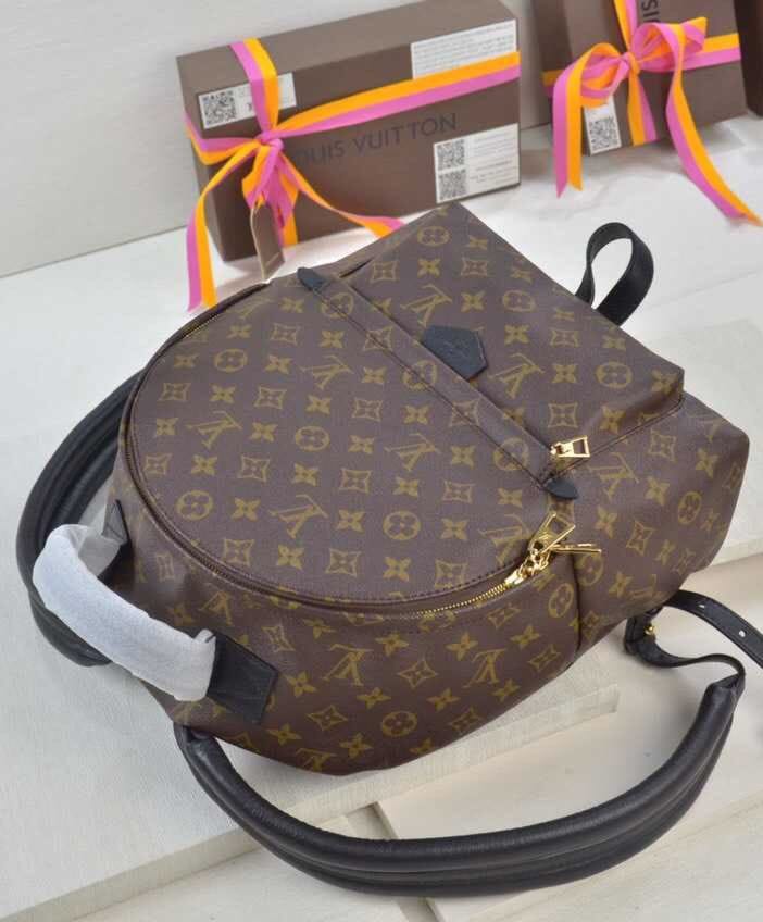 Louis vuitton Palm Springs Backpack MM M41561 Black - Image 4