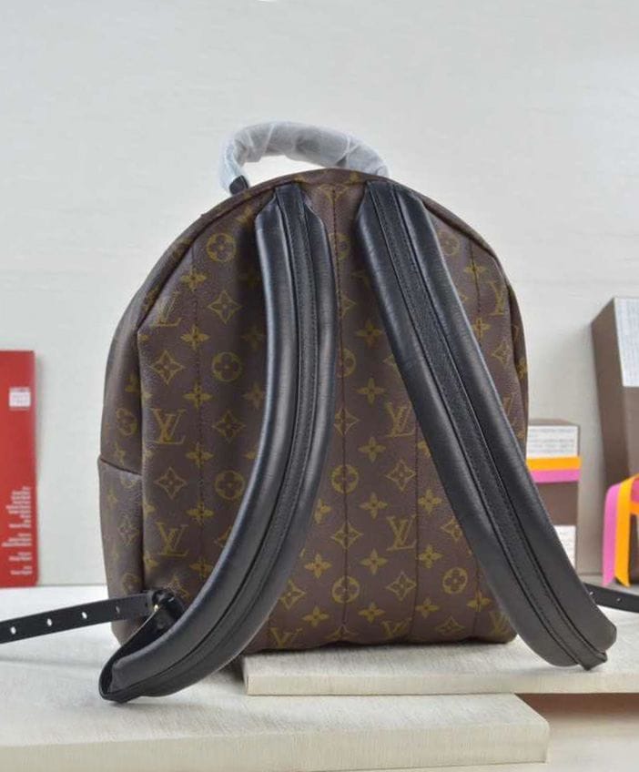 Louis vuitton Palm Springs Backpack MM M41561 Black - Image 3